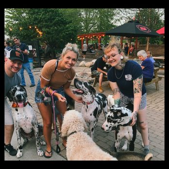 Unleashed Hounds and Hops - Bars Near Me - Minneapolis, Minnesota