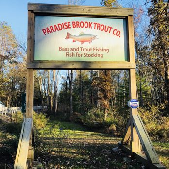 Paradise Brook Trout - Fishing Near Me - Cresco, Pennsylvania