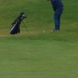 Arrowsmith Golf & Country Club - Nice greens
