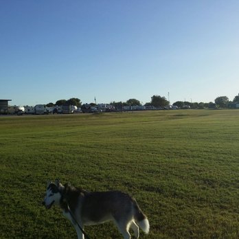 East View RV Ranch - Nice, wide open field for dogs to run. And it's on a dead end street - Parks Near Me - Georgetown, Texas