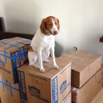 Raul's Moving and Storage - Boxes ready to go! - Movers Near Me - Medley, Florida Raul's Moving and Storage - Boxes ready to go! - Movers Near Me - Medley, Florida