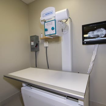 Harbourfront Animal Hospital - Radiology - Veterinarians Near Me - Toronto, Ontario Harbourfront Animal Hospital - Radiology - Veterinarians Near Me - Toronto, Ontario