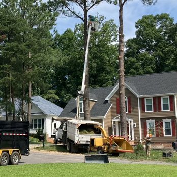 Grade A Cuts Tree Service - Tree Removal - Tree Services Near Me - Powhatan, Virginia Grade A Cuts Tree Service - Tree Removal - Tree Services Near Me - Powhatan, Virginia