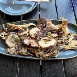 River Pavilion - Roasted mushroom side