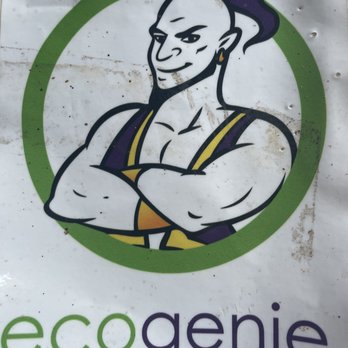 Ecogenie Cleaning - Carpet Cleaning Near Me - Chicago, Illinois