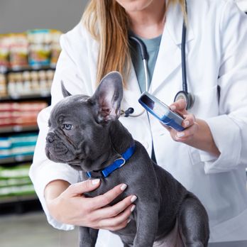 Vetco Total Care - Veterinarians Near Me - Bastrop, Texas Vetco Total Care - Veterinarians Near Me - Bastrop, Texas