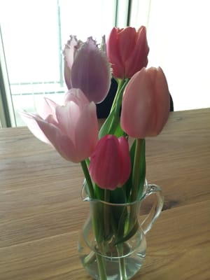 Aoyama Flower Market 10 Photos Flowers Gifts 玉川2 21 1 二子玉川駅 世田谷区 東京都 Japan Phone Number Yelp