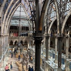 Oxford University Museum Of Natural History