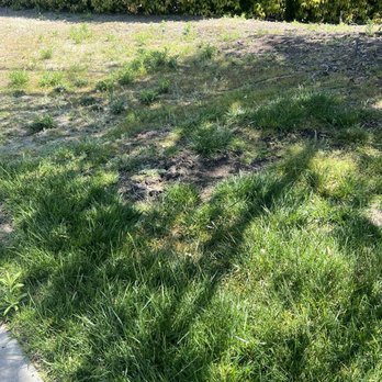 Gothic Landscape - Uneven grass after mowing - Landscaping Near Me - Riverside, California Gothic Landscape - Uneven grass after mowing - Landscaping Near Me - Riverside, California