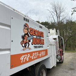 George Of The Jungle Tree Service