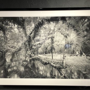 Big Cypress Gallery - Art Galleries Near Me - Ochopee, Florida