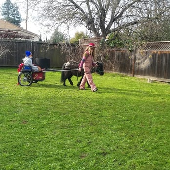Most Unique Parties and Ponies - Most Unique Parties - Party & Event Planning Near Me - Boulder Creek, California