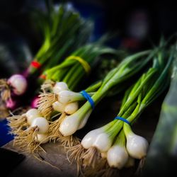 Boyne City Farmers Market