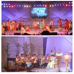 Concert at the Park