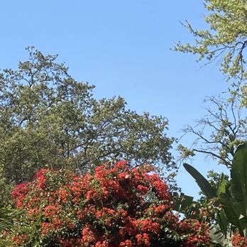 Hyde Park - March 1st, 2023 - Parks Near Me - Tampa, Florida Hyde Park - March 1st, 2023 - Parks Near Me - Tampa, Florida