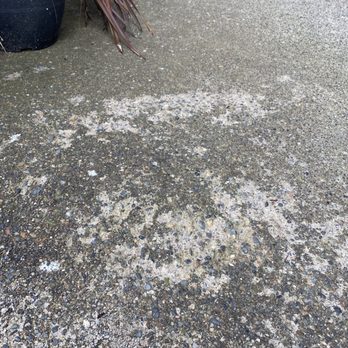 Soundbuilt Homes - Crumbling front walkway after one year. - Real Estate Services Near Me - Puyallup, Washington Soundbuilt Homes - Crumbling front walkway after one year. - Real Estate Services Near Me - Puyallup, Washington