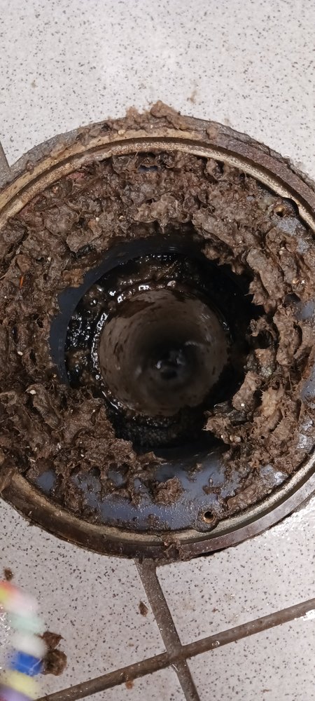 Slide of The Master Plumber