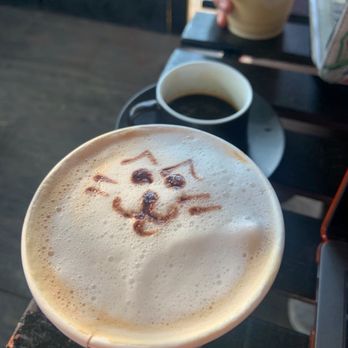 Cute Cat Cafe - Breakfast & Brunch Near Me - Ridgewood, New York Cute Cat Cafe - Breakfast & Brunch Near Me - Ridgewood, New York