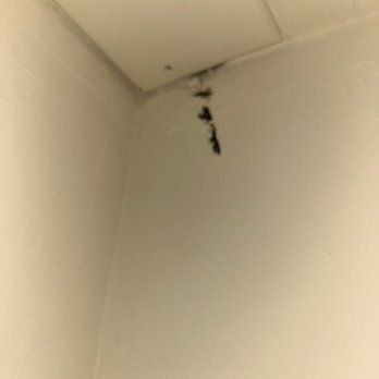 Bucks Run Apartments - more black spots - Apartments Near Me - Dublin, Pennsylvania