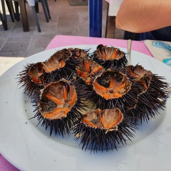 Scoglio delle Sirene - Italian Near Me - Gallipoli, LE Scoglio delle Sirene - Italian Near Me - Gallipoli, LE