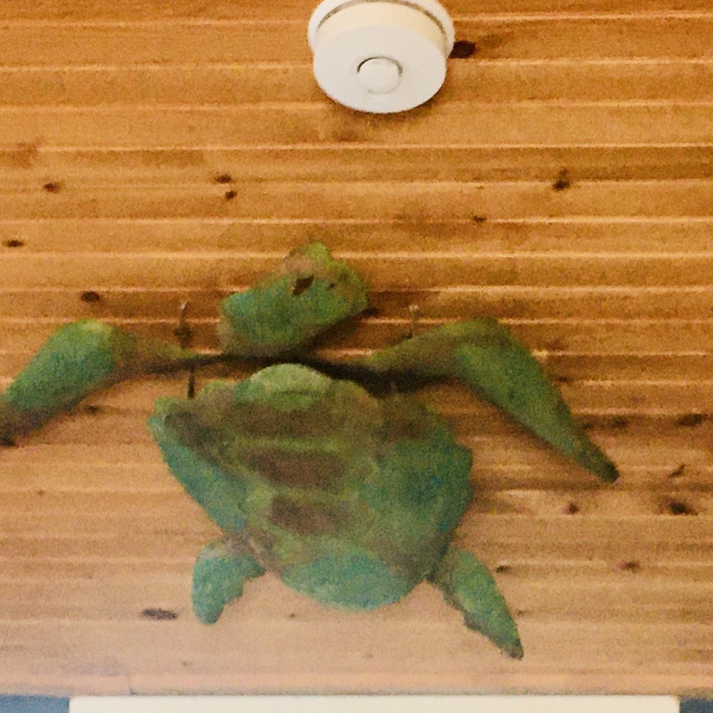Turtle Shack - Cute interior - Seafood Near Me - Palm Coast, Florida Turtle Shack - Cute interior - Seafood Near Me - Palm Coast, Florida