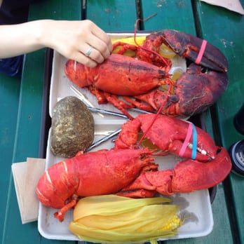 Five Islands Lobster - Best lobster ever! - Seafood Near Me - Georgetown, Maine Five Islands Lobster - Best lobster ever! - Seafood Near Me - Georgetown, Maine