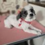 Photo of Happy Pet Express