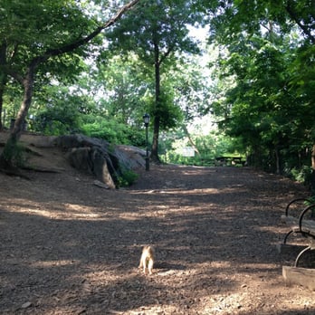 Saint Nicholas Park Dog Run - Dog run - Dog Parks Near Me - New York, New York