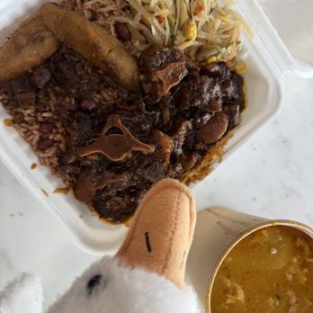 Golden Krust - Braised oxtail, chicken soup, and an intruding stuffed duck - Caribbean Near Me - Jamaica, New York