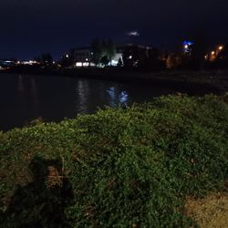 Bay Trail