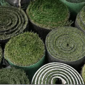 Purchase Green Artificial Grass - Miami - a variety of artificial grass - Artificial Turf Near Me - Hollywood, Florida Purchase Green Artificial Grass - Miami - a variety of artificial grass - Artificial Turf Near Me - Hollywood, Florida