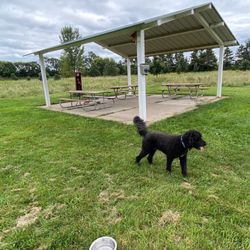 Paw Print Park