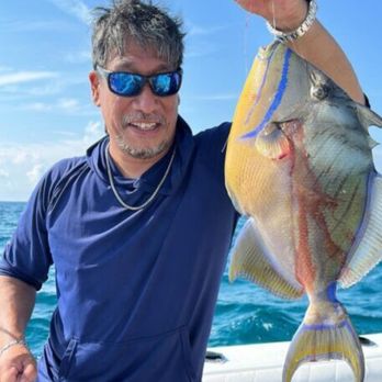 Bahamas Dream Tours & Charters - Reef fishing - Boat Charters Near Me Bahamas Dream Tours & Charters - Reef fishing - Boat Charters Near Me