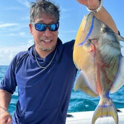 Bahamas Dream Tours & Charters - Reef fishing