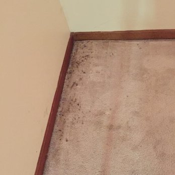 Carpet soultions - Before our steam clean - Carpet Cleaning Near Me