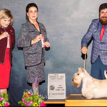 The Pawsitive Mobile Groomer - Pet Groomers Near Me The Pawsitive Mobile Groomer - Pet Groomers Near Me