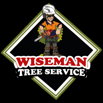 Wiseman Tree Service - Tree Services Near Me - Marietta, Georgia