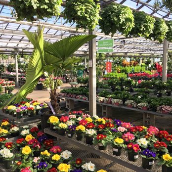 Mahoney's Garden Center - Nurseries & Gardening Near Me - Winchester, Massachusetts Mahoney's Garden Center - Nurseries & Gardening Near Me - Winchester, Massachusetts