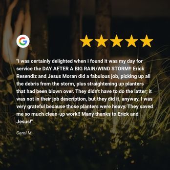 Pleasant Landscapes - a review of the day after a rainwid storm - Landscaping Near Me - Awendaw, South Carolina Pleasant Landscapes - a review of the day after a rainwid storm - Landscaping Near Me - Awendaw, South Carolina