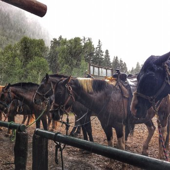 Maroon Bells Guide and Outfitters - Horseback Riding Near Me - Aspen, Colorado Maroon Bells Guide and Outfitters - Horseback Riding Near Me - Aspen, Colorado
