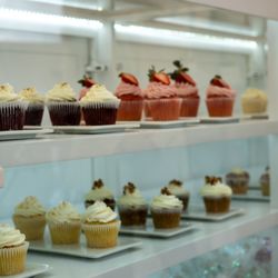 Hello Cupcake Bakery
