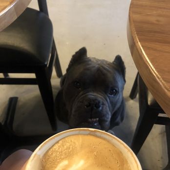 Chai Coffee Co - Tasty coffee and a cute face - Coffee & Tea Near Me - Yucaipa, California