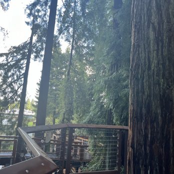 Sequoia Park Zoo - Redwood skywalk - Zoos Near Me - Eureka, California Sequoia Park Zoo - Redwood skywalk - Zoos Near Me - Eureka, California