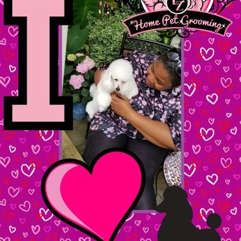 The Pawlished Canine - Pet Groomers Near Me The Pawlished Canine - Pet Groomers Near Me