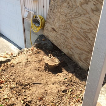 Pacific Rim Tree Service - Windows covered up. - Tree Services Near Me - Renton, Washington Pacific Rim Tree Service - Windows covered up. - Tree Services Near Me - Renton, Washington