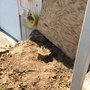Photo of Pacific Rim Tree Service
