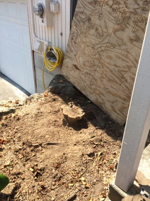 Pacific Rim Tree Service