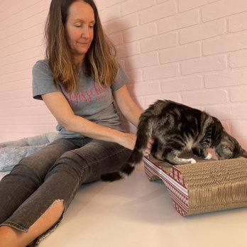 Cats and Caffeine - Coffee & Tea Near Me - Tampa Bay, Florida Cats and Caffeine - Coffee & Tea Near Me - Tampa Bay, Florida