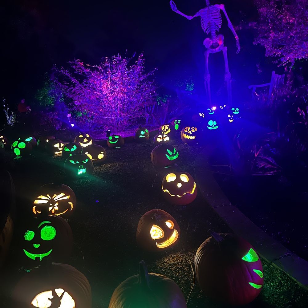 Glow at the Gardens - Botanical Gardens Near Me - Denver, Colorado Glow at the Gardens - Botanical Gardens Near Me - Denver, Colorado