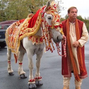 Caliber Farms - Party Equipment Rentals Near Me Caliber Farms - Party Equipment Rentals Near Me
